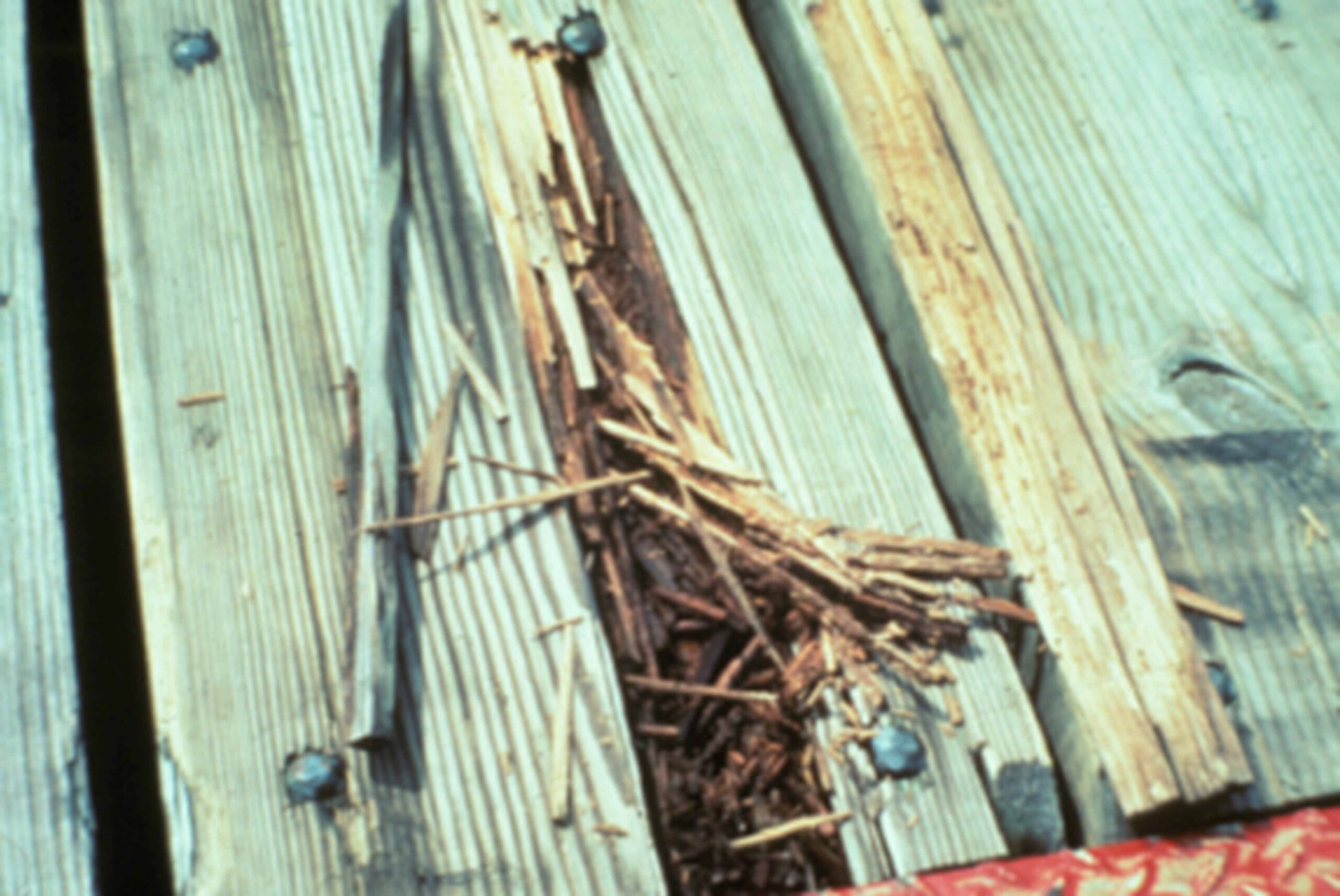 Picture24